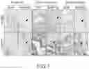 Fig. 02 - Cancer stem cell-specific molecule
