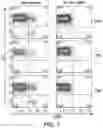 Fig. 08 - Methods of treatments using antigen-binding proteins targeting CD56
