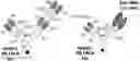 Fig. 01 - COMBINATION THERAPY WITH TARGETED 4-1BB (CD137) AGONISTS