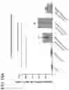 Fig. 28 - COMBINATION THERAPY WITH TARGETED 4-1BB (CD137) AGONISTS