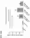 Fig. 29 - COMBINATION THERAPY WITH TARGETED 4-1BB (CD137) AGONISTS