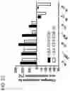 Fig. 37 - COMBINATION THERAPY WITH TARGETED 4-1BB (CD137) AGONISTS