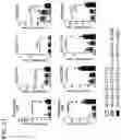 Fig. 43 - COMBINATION THERAPY WITH TARGETED 4-1BB (CD137) AGONISTS