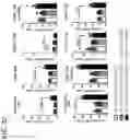 Fig. 44 - COMBINATION THERAPY WITH TARGETED 4-1BB (CD137) AGONISTS