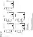 Fig. 48 - COMBINATION THERAPY WITH TARGETED 4-1BB (CD137) AGONISTS