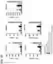 Fig. 50 - COMBINATION THERAPY WITH TARGETED 4-1BB (CD137) AGONISTS