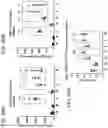 Fig. 60 - COMBINATION THERAPY WITH TARGETED 4-1BB (CD137) AGONISTS