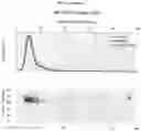 Fig. 19 - METHODS FOR TREATING LYMPHOMAS