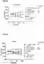 Fig. 06 - BTLA-binding antibodies for modulating immune response and treating disease