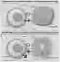 Fig. 01 - Peptides for molecular detection of PD-L1
