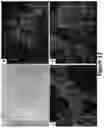 Fig. 26 - Peptides for molecular detection of PD-L1