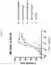 Fig. 07 - MULTISPECIFIC ANTIGEN BINDING PROTEINS
