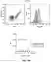 Fig. 43 - Variant nucleic acid libraries for GLP1 receptor