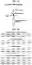 Fig. 02 - NOVEL CHIMERIC ANTIGEN RECEPTORS AND LIBRARIES
