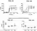 Fig. 08 - NOVEL CHIMERIC ANTIGEN RECEPTORS AND LIBRARIES