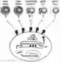 Fig. 01 - ANTIBODIES AND METHODS OF USE THEREOF
