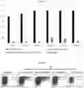 Fig. 28 - ANTIBODIES AND METHODS OF USE THEREOF