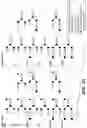 Fig. 03 - GALACTOENGINEERED IMMUNOGLOBULIN 1 ANTIBODIES