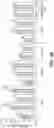 Fig. 05 - GALACTOENGINEERED IMMUNOGLOBULIN 1 ANTIBODIES