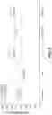 Fig. 09 - GALACTOENGINEERED IMMUNOGLOBULIN 1 ANTIBODIES