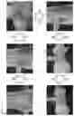 Fig. 10 - Visible light-curable water-soluble chitosan derivative, chitosan hydrogel, and preparation method therefor