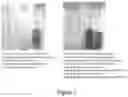 Fig. 02 - Method of synthesising 6-deoxy-6-amino-β-D-glucopyranoside-containing polymers and their precursors
