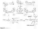 Fig. 12 - NOVEL BLOCK COPOLYMER AND MICELLE COMPOSITIONS AND METHODS OF USE THEREOF