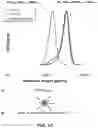 Fig. 14 - Star macromolecules for personal and home care