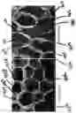 Fig. 05 - Mechanical reticulation of polymeric-based closed cell foams