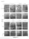 Fig. 06 - Mechanical reticulation of polymeric-based closed cell foams