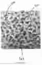 Fig. 07 - Mechanical reticulation of polymeric-based closed cell foams