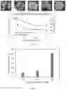 Fig. 04 - Re-assembling polymer particle package for conformance control and fluid loss control