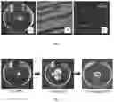 Fig. 06 - Re-assembling polymer particle package for conformance control and fluid loss control