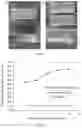 Fig. 19 - Re-assembling polymer particle package for conformance control and fluid loss control