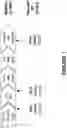 Fig. 02 - Methods to improve the quantum yield of indium phosphide quantum dots