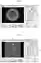 Fig. 05 - Cell treatment system