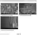 Fig. 04 - Method of producing lactic acid bacteria dual-coated with protein and polysaccharide by using protein hydrolysate