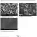 Fig. 05 - Method of producing lactic acid bacteria dual-coated with protein and polysaccharide by using protein hydrolysate