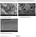 Fig. 06 - Method of producing lactic acid bacteria dual-coated with protein and polysaccharide by using protein hydrolysate