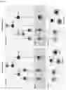 Fig. 14 - Bioengineered in vitro 3D model of human atherosclerotic plaque