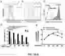Fig. 04 - COMPLEMENT INHIBITION FOR IMPROVING CELL VIABILITY
