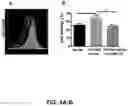 Fig. 05 - COMPLEMENT INHIBITION FOR IMPROVING CELL VIABILITY