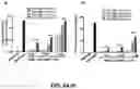 Fig. 06 - COMPLEMENT INHIBITION FOR IMPROVING CELL VIABILITY