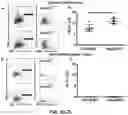 Fig. 08 - COMPLEMENT INHIBITION FOR IMPROVING CELL VIABILITY