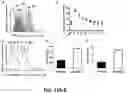 Fig. 13 - COMPLEMENT INHIBITION FOR IMPROVING CELL VIABILITY
