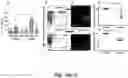 Fig. 16 - COMPLEMENT INHIBITION FOR IMPROVING CELL VIABILITY