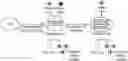 Fig. 01 - Engineered producer cell lines and methods of making and using the same