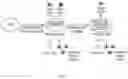Fig. 02 - Engineered producer cell lines and methods of making and using the same
