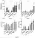 Fig. 06 - Methods and compositions for delivery of viral vectors across the blood-brain barrier