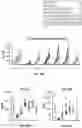 Fig. 112 - OPTIMIZED LENTIVIRAL VECTOR FOR XLA GENE THERAPY